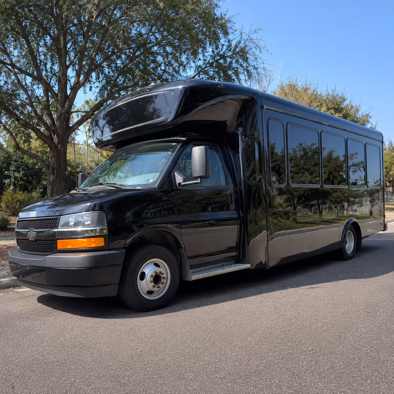 mountain view birthday party bus rental