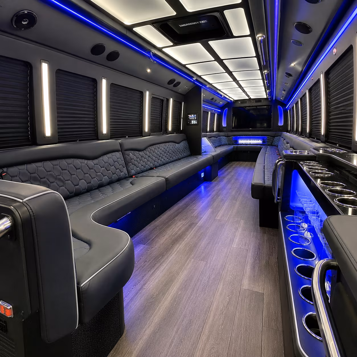 mountain view party bus rentals inside